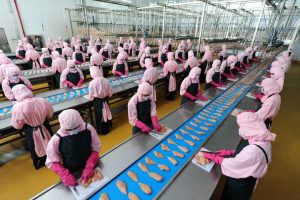 Bí Quyết Chọn Đơn Hàng XKLD Nhật Bản 2021