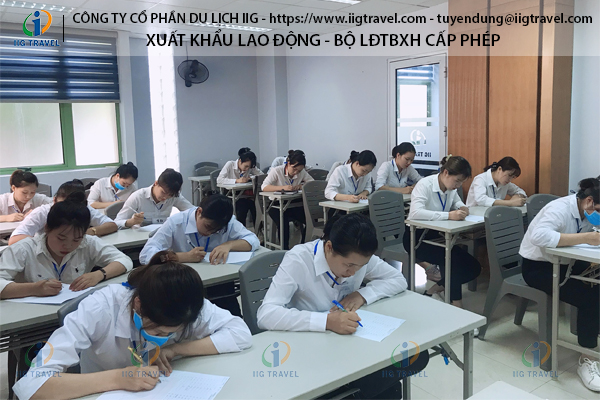 Lao Động Nữ Nên Chọn XKLĐ Nhật Bản Chế Biến Thủy Sản