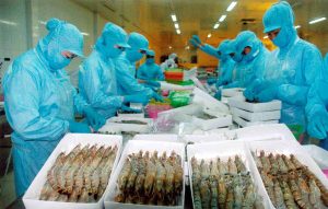 Lao Động Nữ Nên Chọn XKLĐ Nhật Bản Chế Biến Thủy Sản