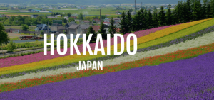 Lý Giải Sức Hấp Dẫn Của XKLĐ Hokkaido