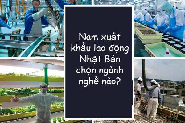 Nam Xuất Khẩu Lao Động Nhật Bản Chọn Ngành Nghề Nào