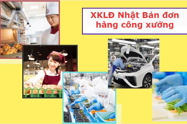 Nên Đi Nhật Bản XKLĐ Công Xưởng Hay Không