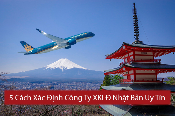 5 Cách Xác Định Công Ty XKLD Nhật Bản Uy Tín