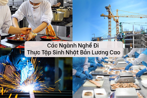Các Ngành Nghề Đi Thực Tập Sinh Nhật Bản Lương Cao