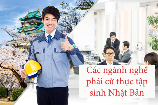 Các Ngành Nghề Phái Cử Thực Tập Sinh Nhật Bản