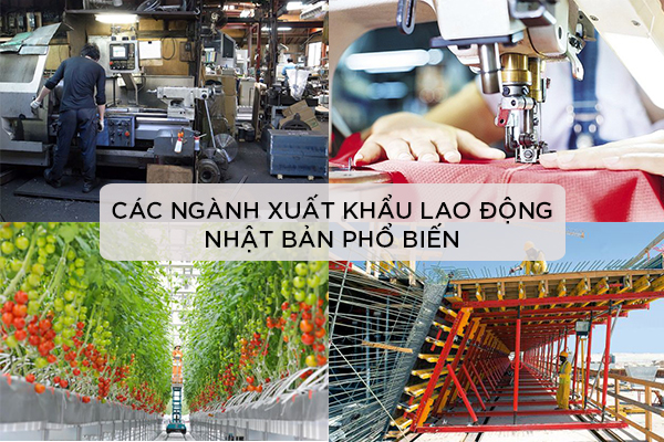 Các Ngành XKLĐ Nhật Bản Phổ Biến Hiện Nay