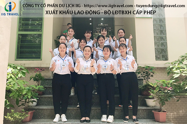 Công Việc Của Ngành Điều Dưỡng Ở Nhật Bản