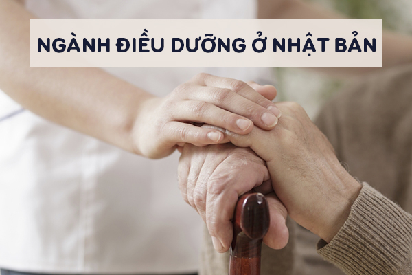Công Việc Của Ngành Điều Dưỡng Ở Nhật Bản