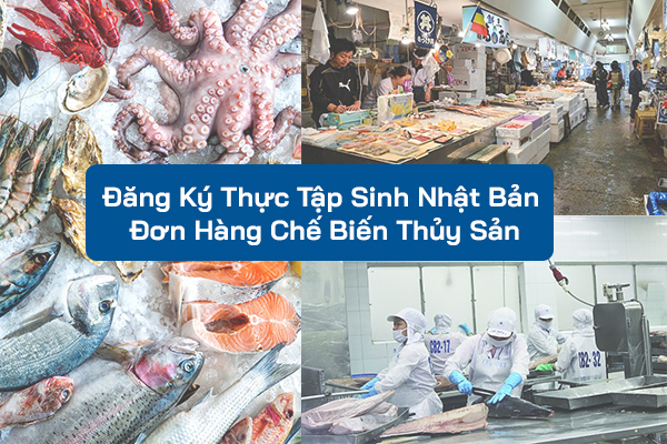 Đăng Ký Thực Tập Sinh Nhật Bản Đơn Hàng Chế Biến Thủy Sản
