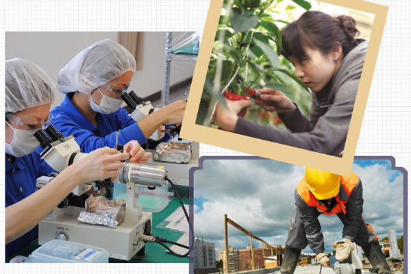 Đi Tu Nghiệp Sinh Lần 2 Tại Nhật Bản Là Gì?