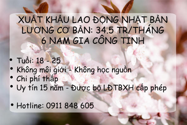 Đi Xuất Khẩu Nhật Bản Đơn Hàng Gia Công Tinh Phỏng Vấn 24/02