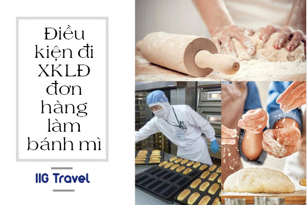 Dieu Kien Di Xuat Khau Lao Dong Đơn Hàng Làm Bánh Mì
