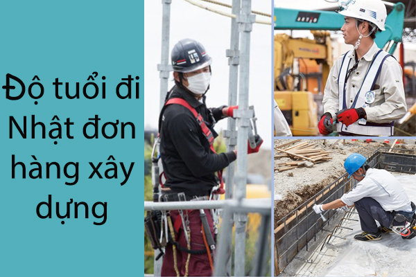 Độ Tuổi Đi Nhật Đơn Hàng Xây Dựng