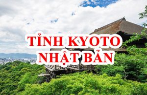 Đơn Hàng Công Ty IIG Lắp Ráp Thiết Bị Điện Tử
