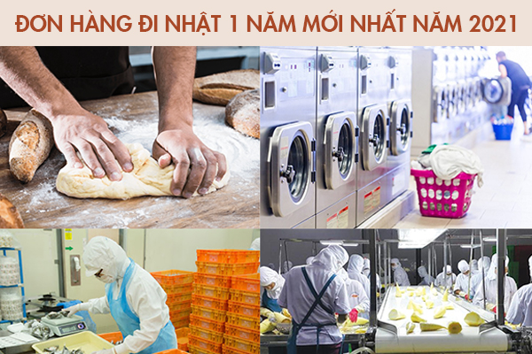 Đơn Hàng Đi Nhật 1 Năm Mới Nhất Năm 2021