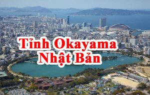 Đơn Hàng Đi Nhật Lắp Ráp Thiết Bị Điện Tử Phỏng Vấn 22/02