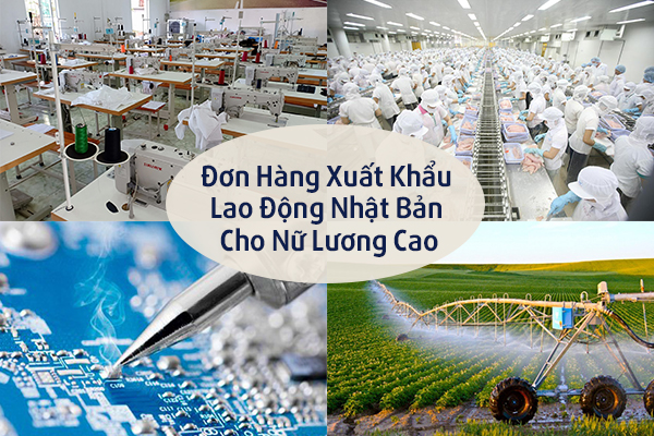 Đơn Hàng Xuất Khẩu Lao Động Nhật Bản Cho Nữ Lương Cao