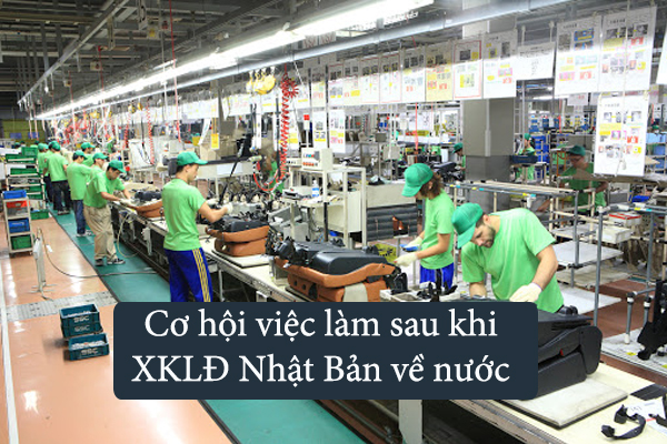 Làm Gì Sau Khi Kết Thúc Đi Nhật Diện Thực Tập Sinh