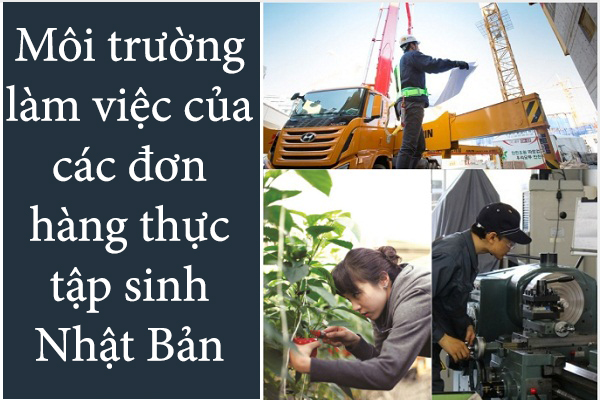 Môi Trường Làm Việc Của Đơn Hàng Thực Tập Sinh Nhật Bản