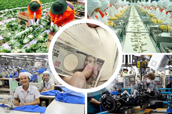 Mức Lương XKLD Nhật Cơ Bản Và Thực Lĩnh