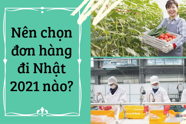 Nên Chọn Đơn Hàng Đi Nhật 2021 Nào?