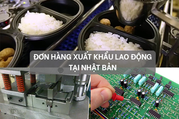 Nên Chọn Đơn Hàng Nào Khi Đi XKLĐ
