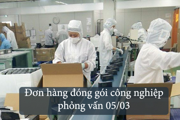 Phỏng Vấn XKLD Nhật Bản Đơn Hàng Đóng Gói Công Nghiệp