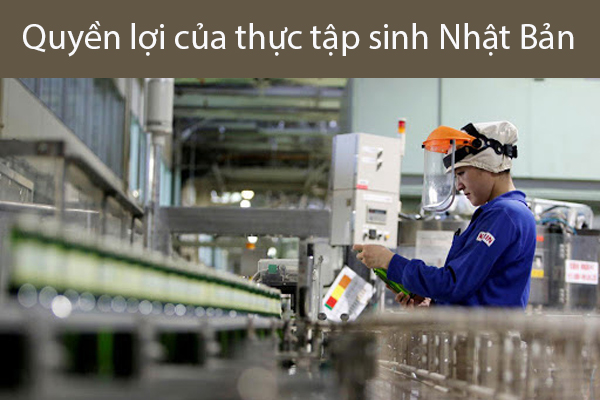 Quyền Lợi Của Thực Tập Sinh Nhật Bản