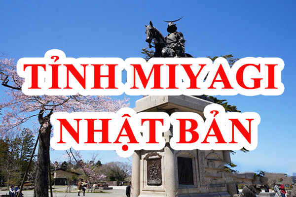 Thực Tập Sinh Việt Nam Tại Tỉnh Miyagi Nhật Bản