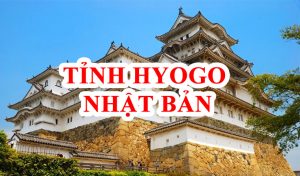 Xuat Khau Lao Dong Nhat Ban Chi Phi Thap Đơn Hàng Ép Kim Loại