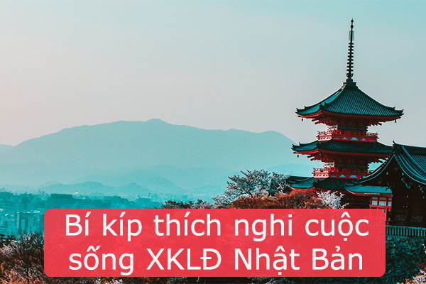 Bí Kíp Thích Nghi Cuộc Sống Xuất Khẩu Lao Đông Nhật Bản