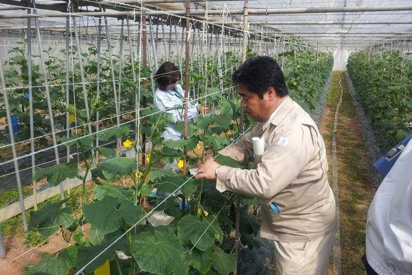 Có Nên Tham Gia Thực Tập Sinh Nhật 1 Năm?