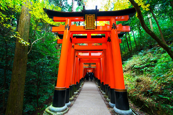 Cổng Trời Torii Trong Văn Hóa Của Người Nhật