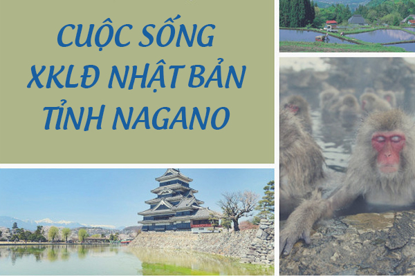 Cuộc Sống XKLĐ Nhật Bản Tỉnh Nagano