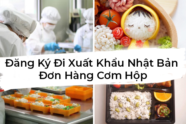 Đăng Ký Đi Xuất Khẩu Nhật Bản Đơn Hàng Cơm Hộp