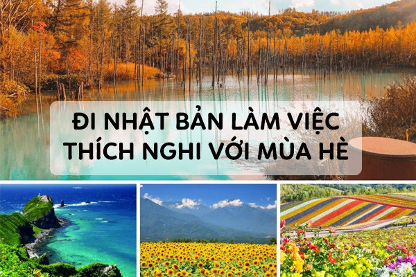 Đi Nhật Bản Làm Việc Thích Nghi Với Mùa Hè