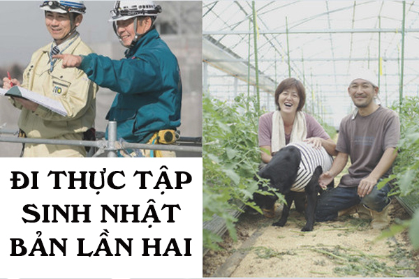 Đi Thực Tập Sinh Nhật Bản Lần Hai