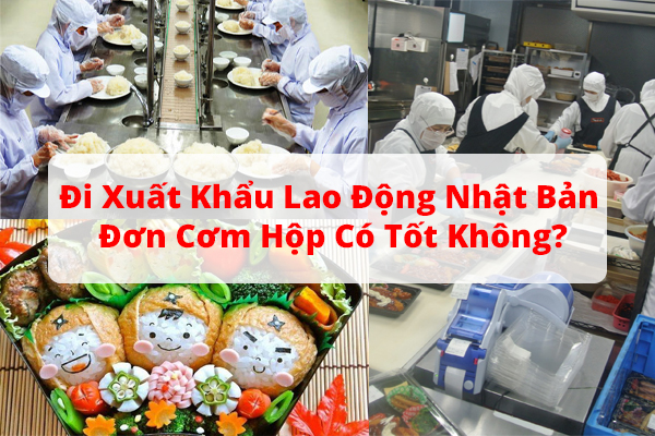 Đi Xuất Khẩu Lao Động Nhật Bản Đơn Cơm Hộp Có Tốt Không?