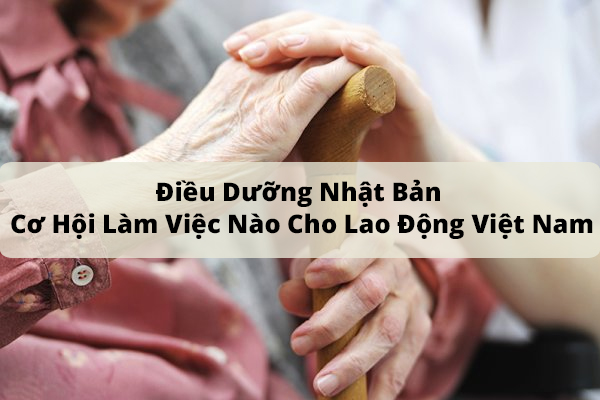 Điều Dưỡng Nhật Bản Cơ Hội Làm Việc Nào Người Việt