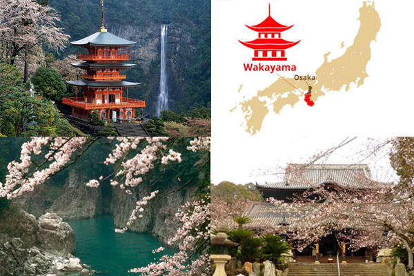 Điều Nên Làm Khi Đi Làm Việc Tại Nhật Bản Tỉnh Wakayama