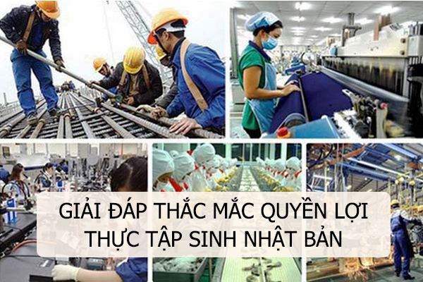 Giải Đáp Thắc Mắc Quyền Lợi Thực Tập Sinh Nhật Bản