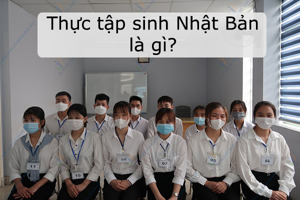 Giải Đáp Thực Tập Sinh Nhật Bản Là Gì?