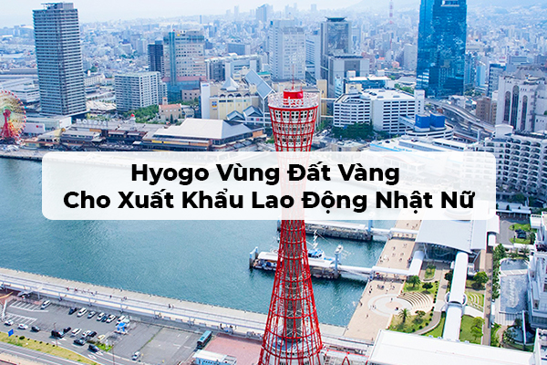 Hyogo Vùng Đất Vàng Cho Xuất Khẩu Lao Động Nhật Nữ