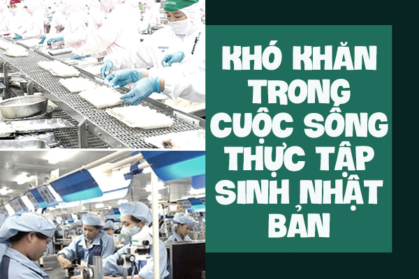 Khó Khăn Trong Cuộc Sống Thực Tập Sinh Nhật Bản