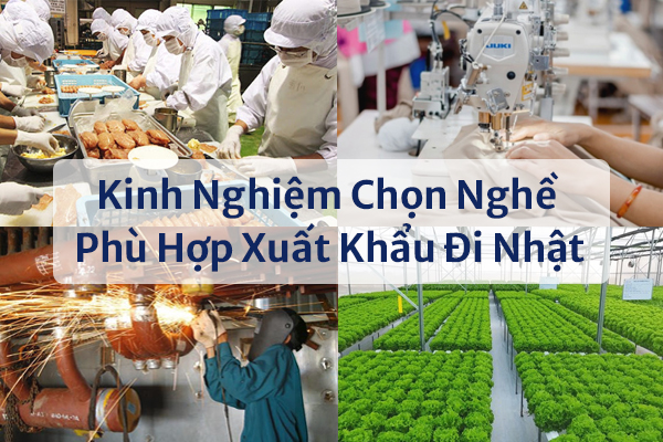 Kinh Nghiệm Chọn Nghề Phù Hợp Xuất Khẩu Đi Nhật