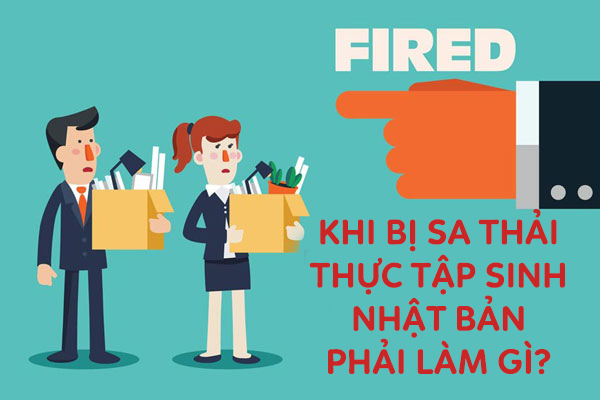 Nếu Bị Sa Thải Thì Thực Tập Sinh Nhật Bản Làm Gì