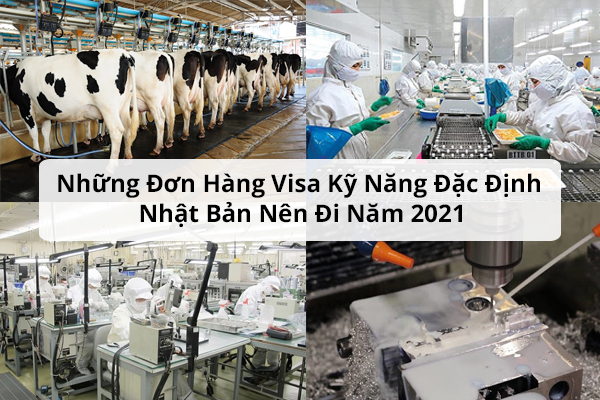 Những Đơn Hàng Visa Kỹ Năng Đặc Định Nhật Bản Nên Đi Năm 2021