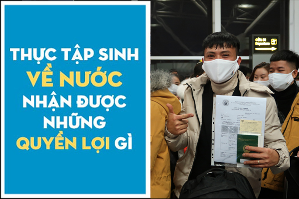 Quyền Lợi Khi Kết Thúc Đi Nhật Diện Thực Tập Sinh