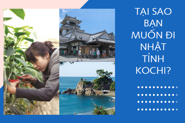 Tại Sao Bạn Muốn Đi Nhật Tỉnh Kochi