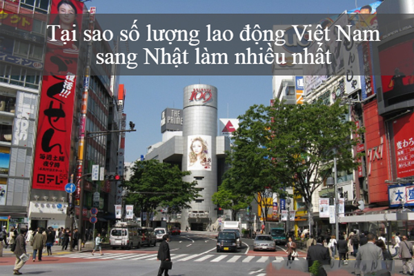 Tại Sao Xuất Khẩu Lao Động Nước Ngoài Nhật Được Lựa Chọn Nhiều?